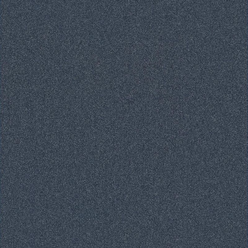 Attraction marine 0785