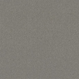 Attraction platina 0140