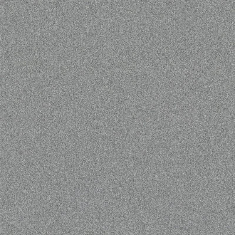 Attraction zilver 0175