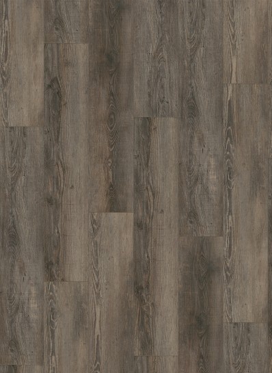City 5605 Olympia Pine Brown